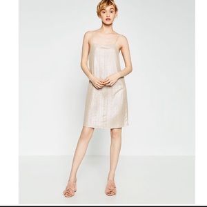 Zara NWT metallic Slid Dress size Large